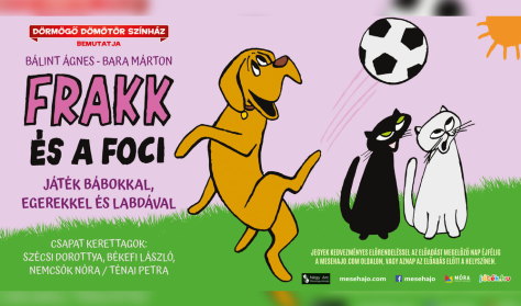 Frakk és a foci