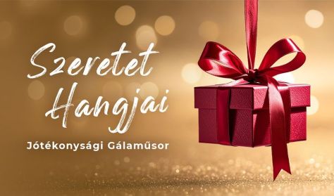 A SZERETET HANGJAI - Jótékonysági Gála