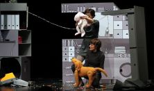 Ebcsont és Nyúlcipő