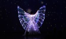 Show Violina - Karácsony: A Ghost Moments Productions előadása