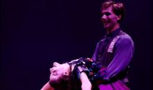 FELEDI PROJEKT: LILIOM