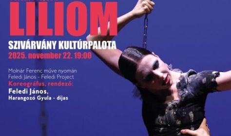 FELEDI PROJEKT: LILIOM