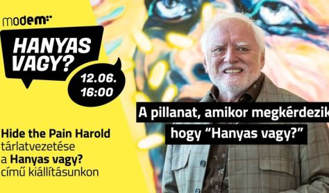 Hanyas vagy? - Hide the Pain Harold tárlatvezetése