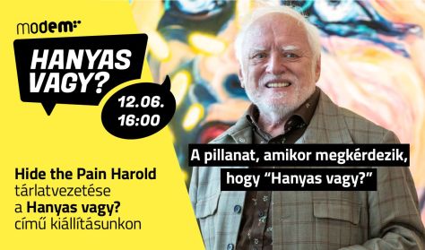 Hanyas vagy? - Hide the Pain Harold tárlatvezetése