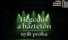 NYÍLT PRÓBA: HEGEDŰS A HÁZTETŐN