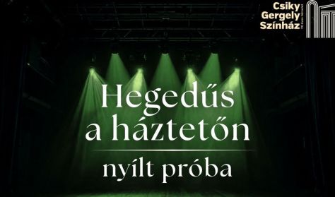 NYÍLT PRÓBA: HEGEDŰS A HÁZTETŐN
