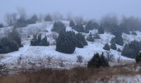 Mikulás napi túra a Fülöpházi-buckavidéken