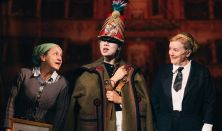 A Fedák Sári-ügy, avagy minden jegy elkelt