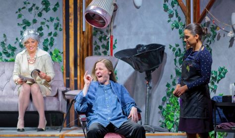 Robert Harling: Acélmagnóliák