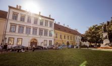 Castle Walk with Matthias Church Entry