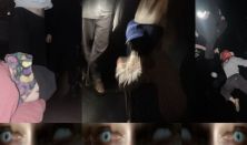 SUB.LAB.PRO / Vavra Júlia: D E F A U L T  M O D E  N E T W O R K