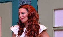 A FELESÉG NEGYVENNÉL KEZDŐDIK