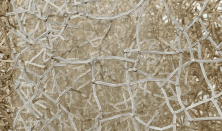 Tárlatvezetés a TŰ-RÉS-HATÁR című kiállításon