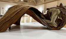 3 Tárlatvezetés a TŰ-RÉS-HATÁR című kiállításon