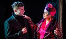 Akt hegedűvel - Debrecen