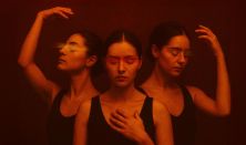 A szerelem arcai • Feledi János – Feledi Project