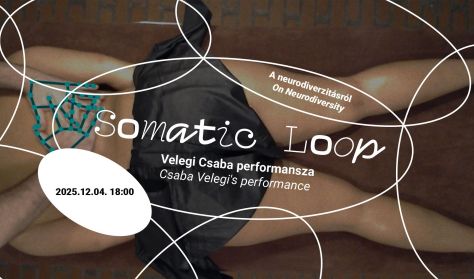 Budapest Galéria | Somatic Loop - Velegi Csaba performansza