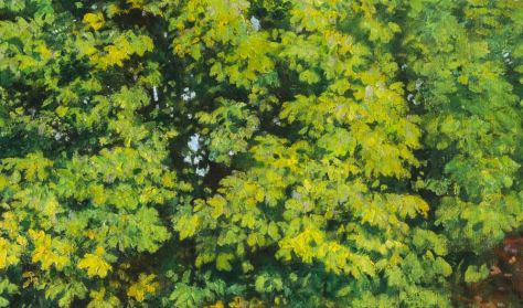 A GYŰJTEMÉNY (1900–2022)