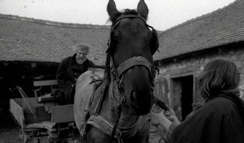 A torinói ló - Európai Díjszezon