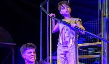 Dés László – Geszti Péter – Békés Pál: A dzsungel könyve