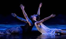 Fragment 24 | 45 • Prágai Kamarabalett | Lengyel Táncszínház