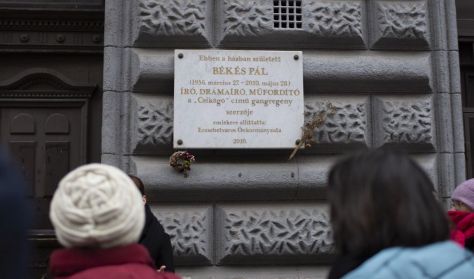 Otthon Csikágóban: történetek a Nefelejcs utcából // városi séta