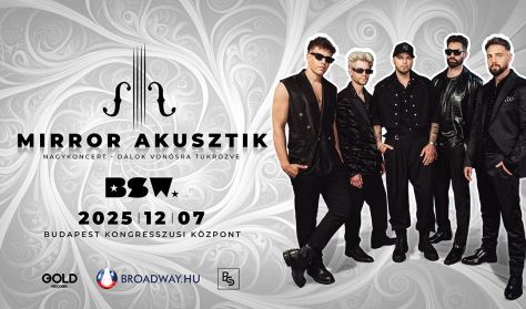 BSW Mirror Akusztik Meet&Greet jótékonysági jegyek