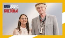 A francia sanzon aranykora - Boggie és Sziámi francia kultúrsorozata