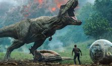 Egy túlélés története – a dinoszauruszok