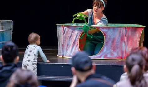 Babaszínház - Békakerekítő