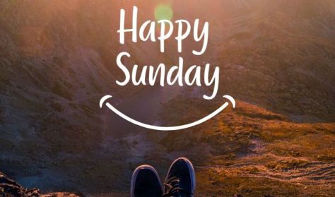 MU Színház: B.I.- Boldogságkutató Intézet