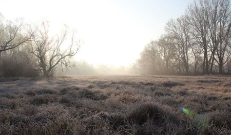 Vizes élőhelyek világnapja – Láperdő a Selyem-réti tanösvényen