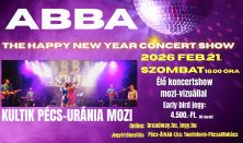 ABBA – The Happy New Year Concert Show