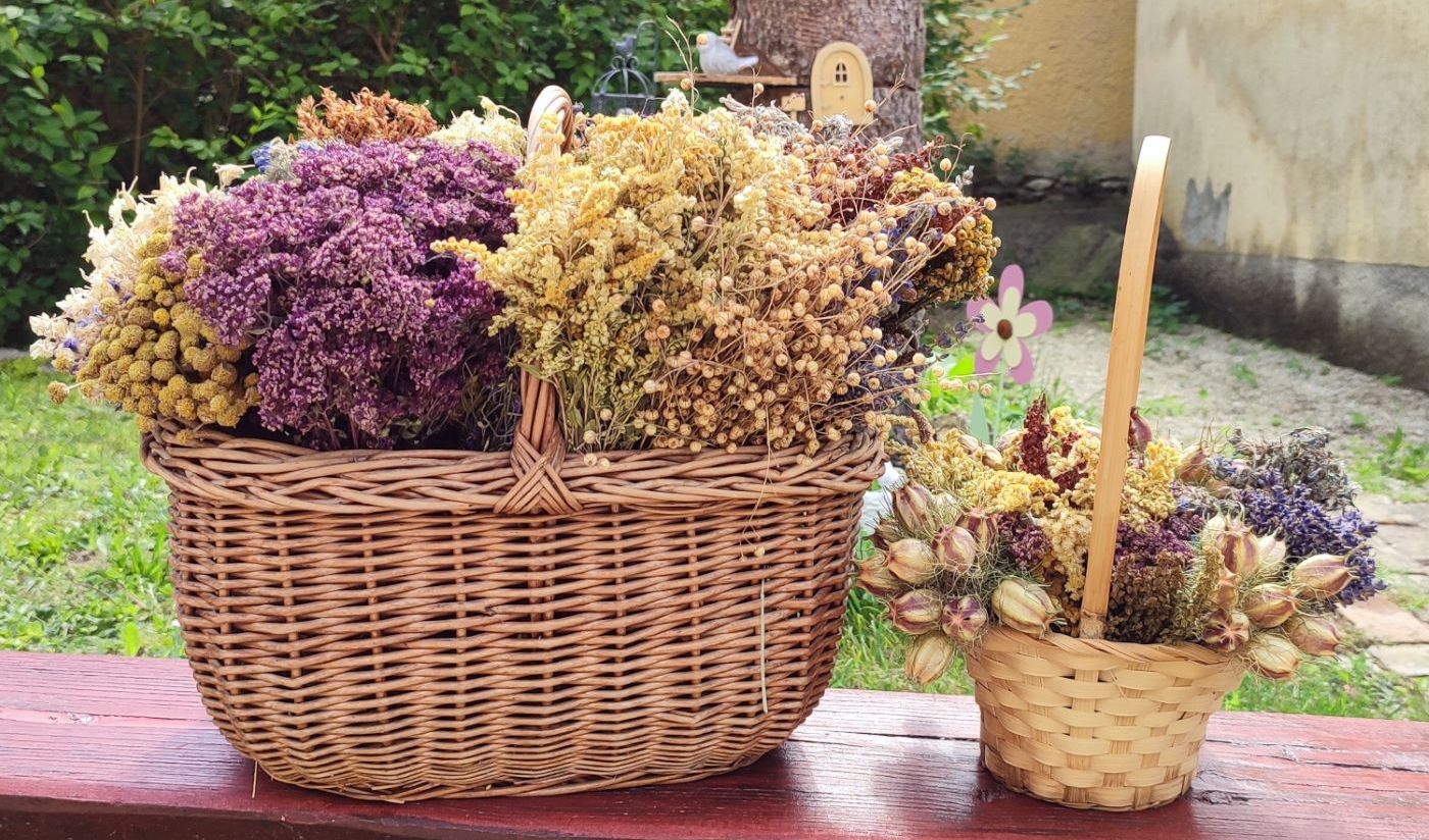 Szabadegyetem - Orosz Tamás: A pióca a népi gyógyászatban
