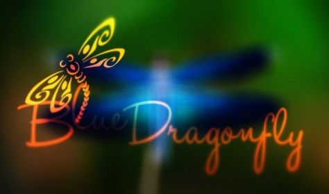 Blue Dragonfly Debrecen